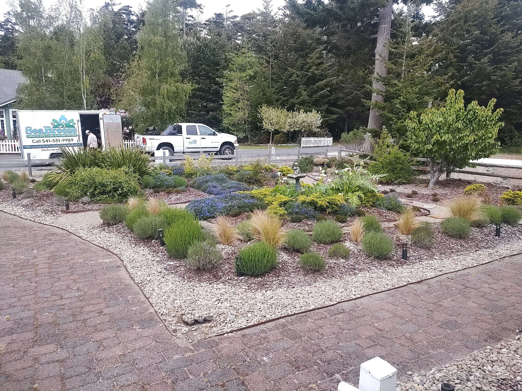 Finished coastal garden with rock beds and ornamental plantings, SeaBreeze truck visible in the background