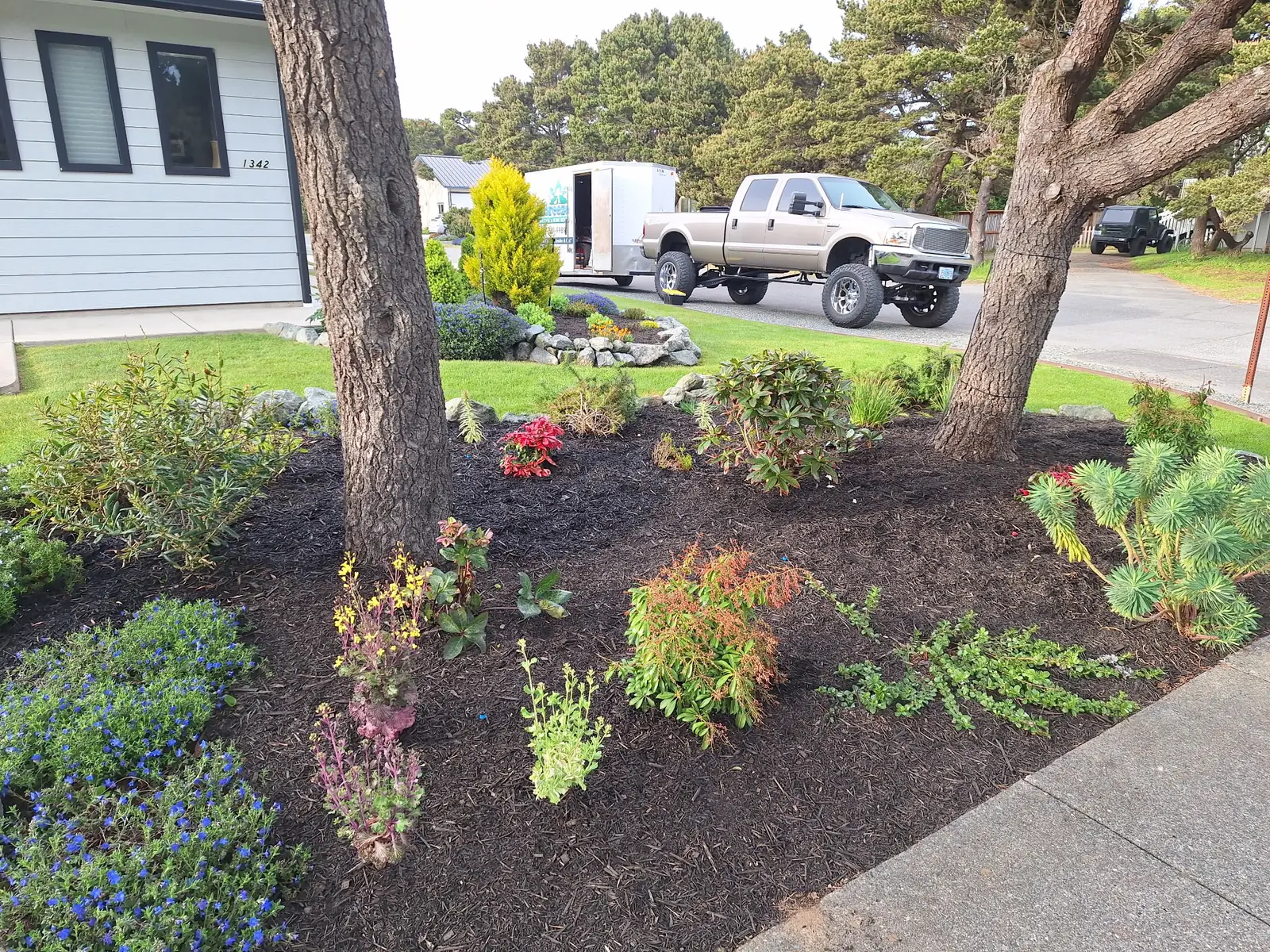 Front bed with layered color plantings