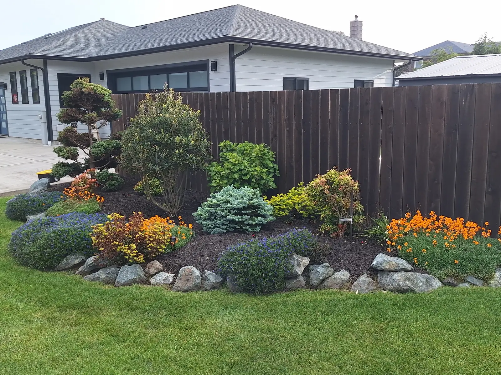 Side yard lawn and rock-edged beds