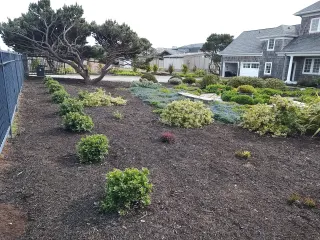 Coastal bed install