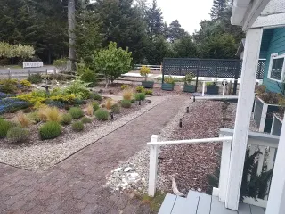 Garden detail from the porch