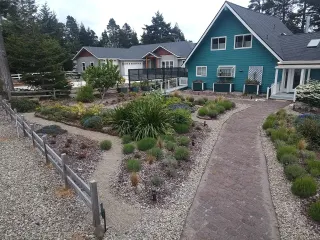 Designed lakefront garden