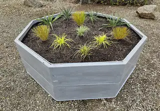 Planter with grasses