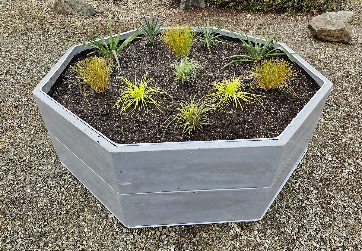 Planter with ornamental grasses in a Bandon yard