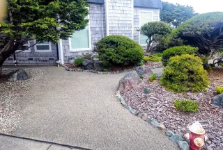 Rock garden detail