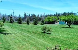 Striped lawn care
