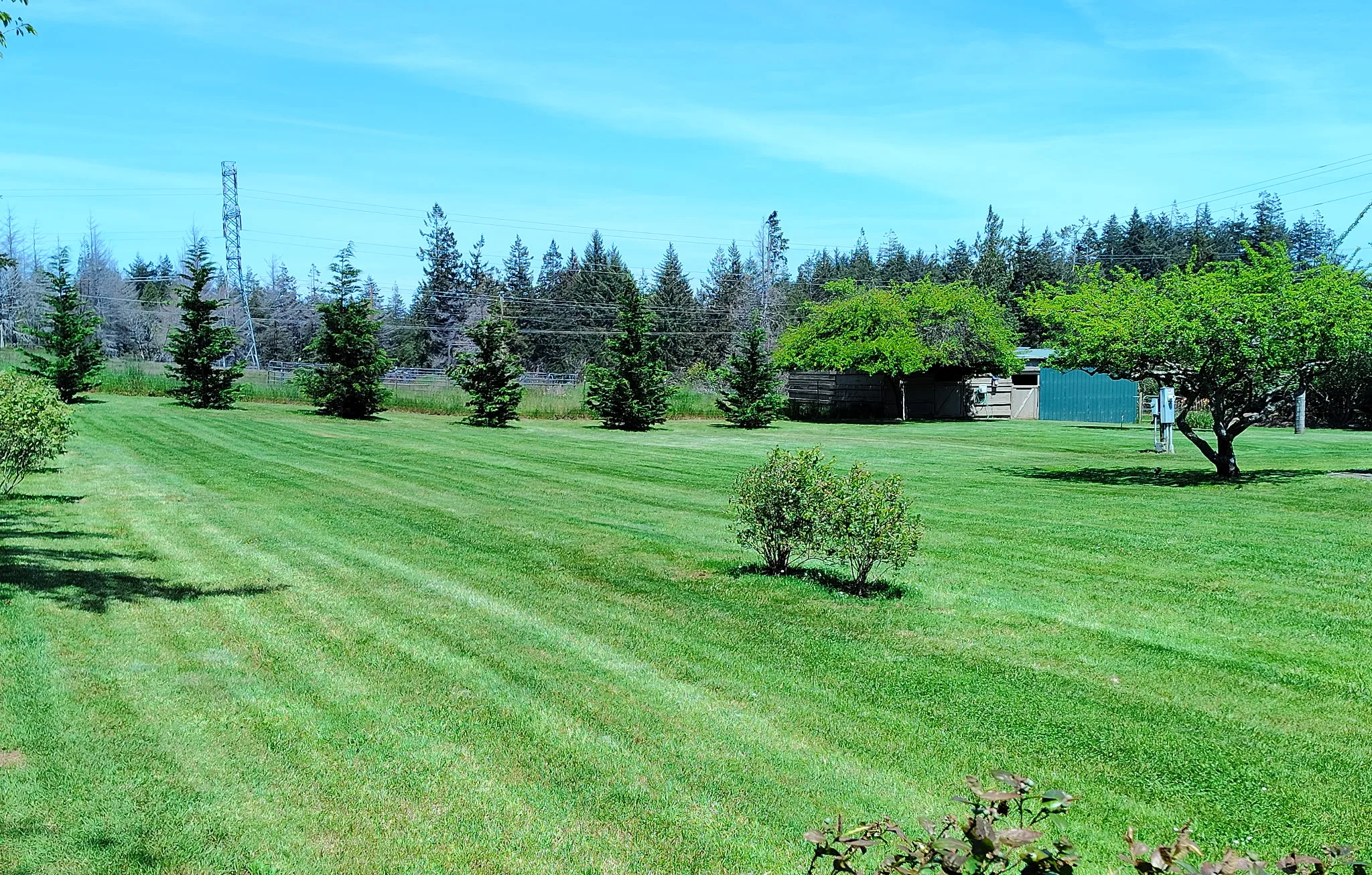 Freshly mowed striped lawn kept up by SeaBreeze