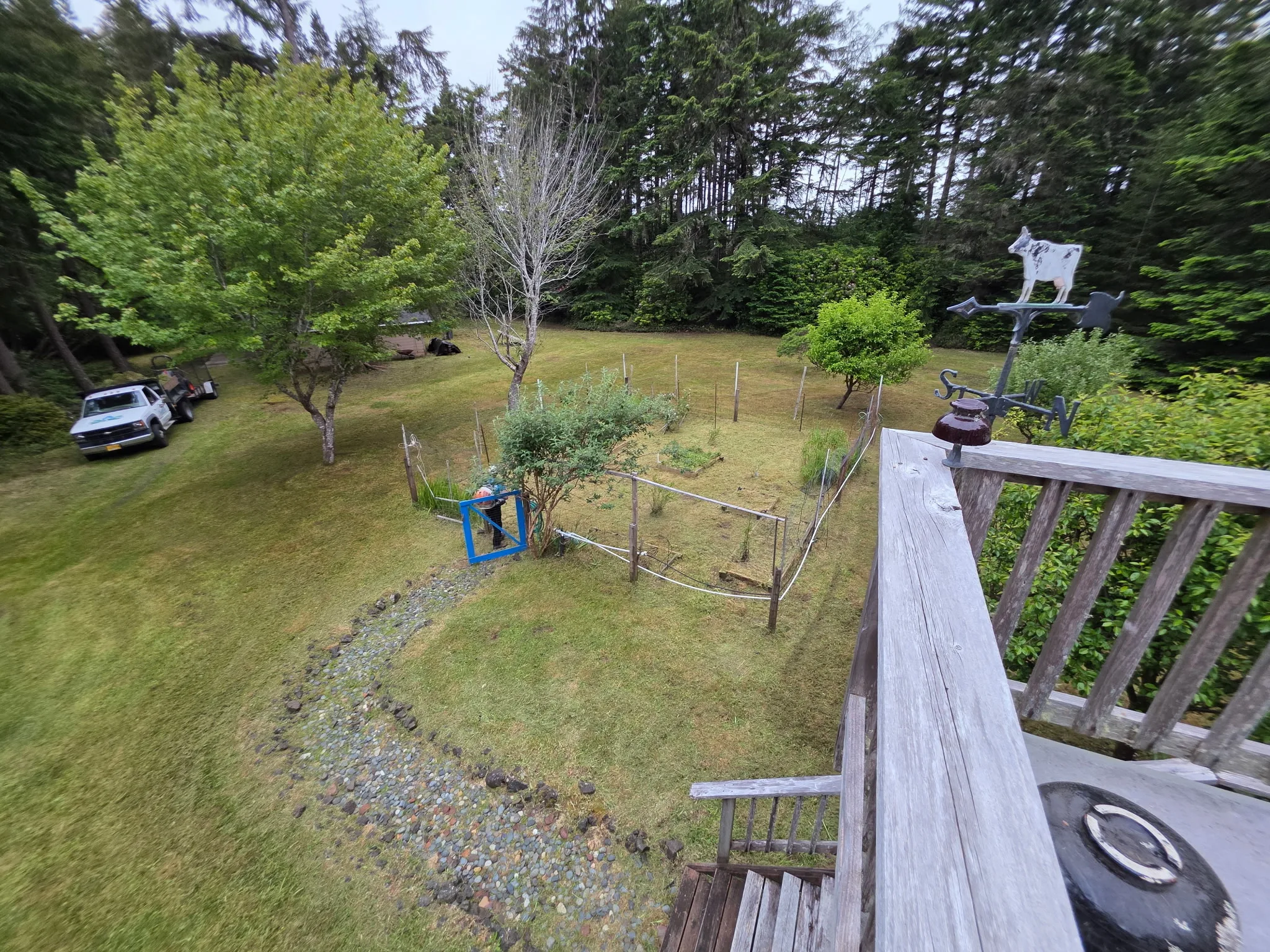 The same meadow and garden view cleared and tidied by SeaBreeze