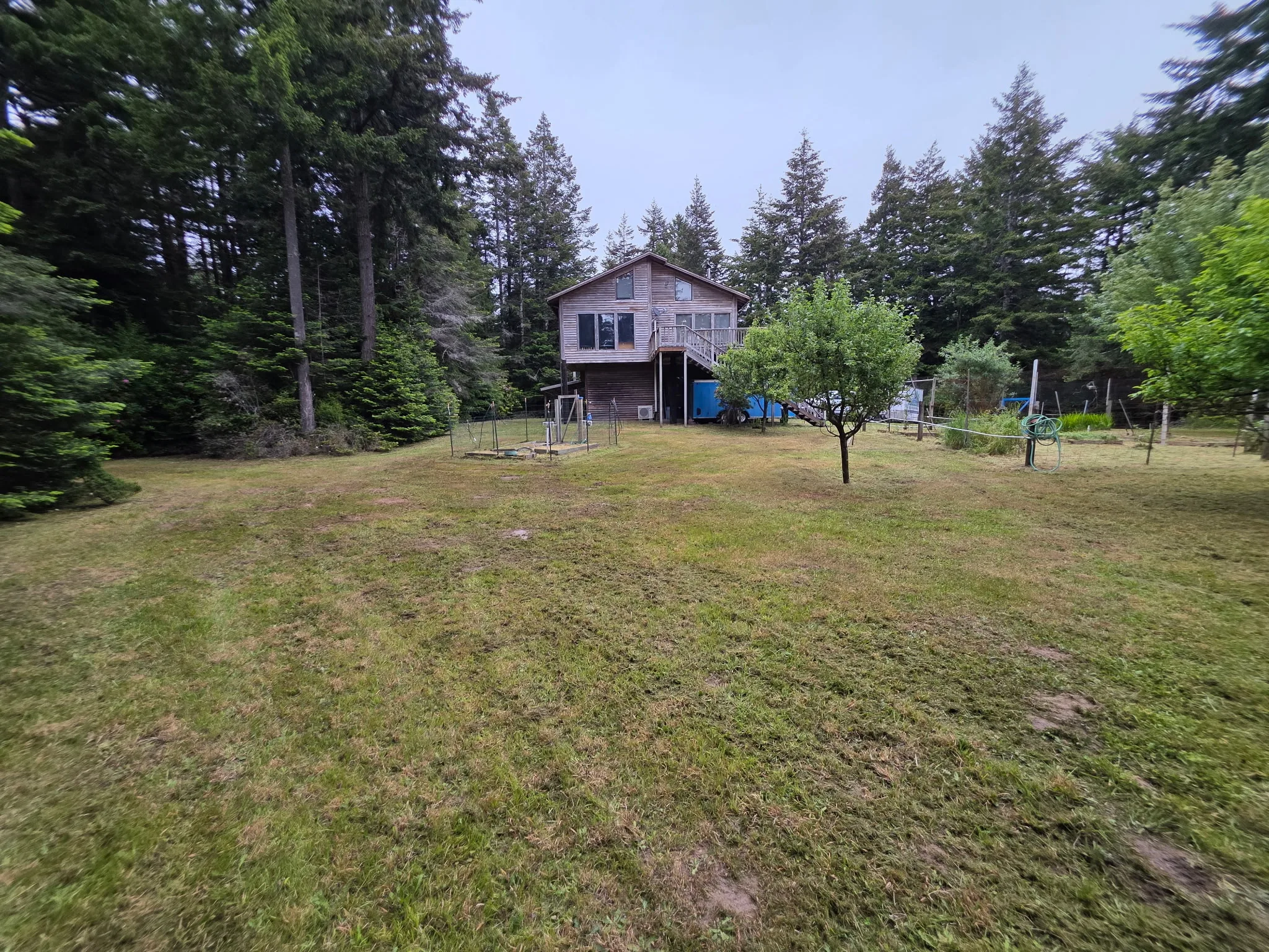 The same orchard mowed and opened up by SeaBreeze