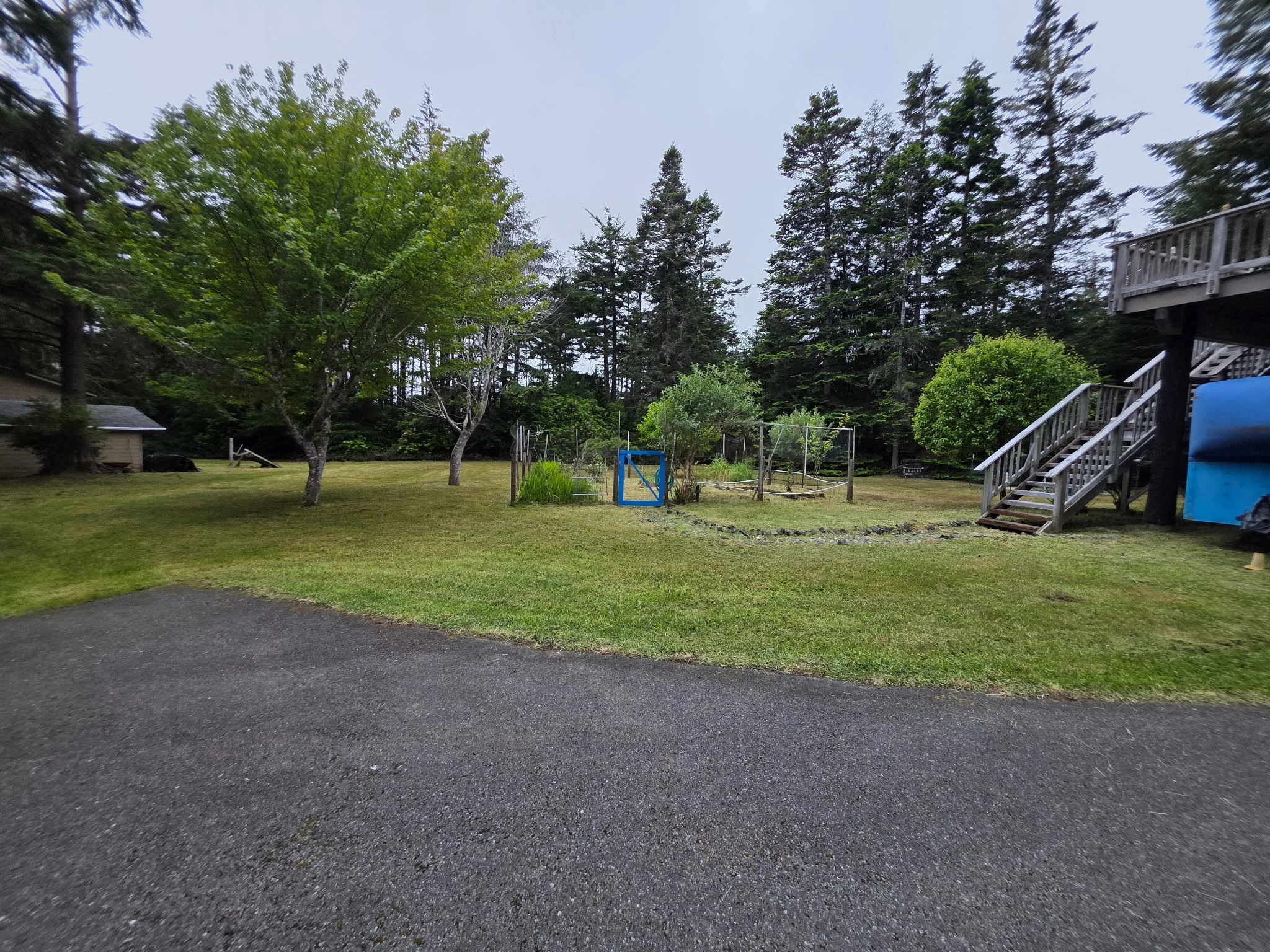 The same side yard cut back and cleaned up by SeaBreeze