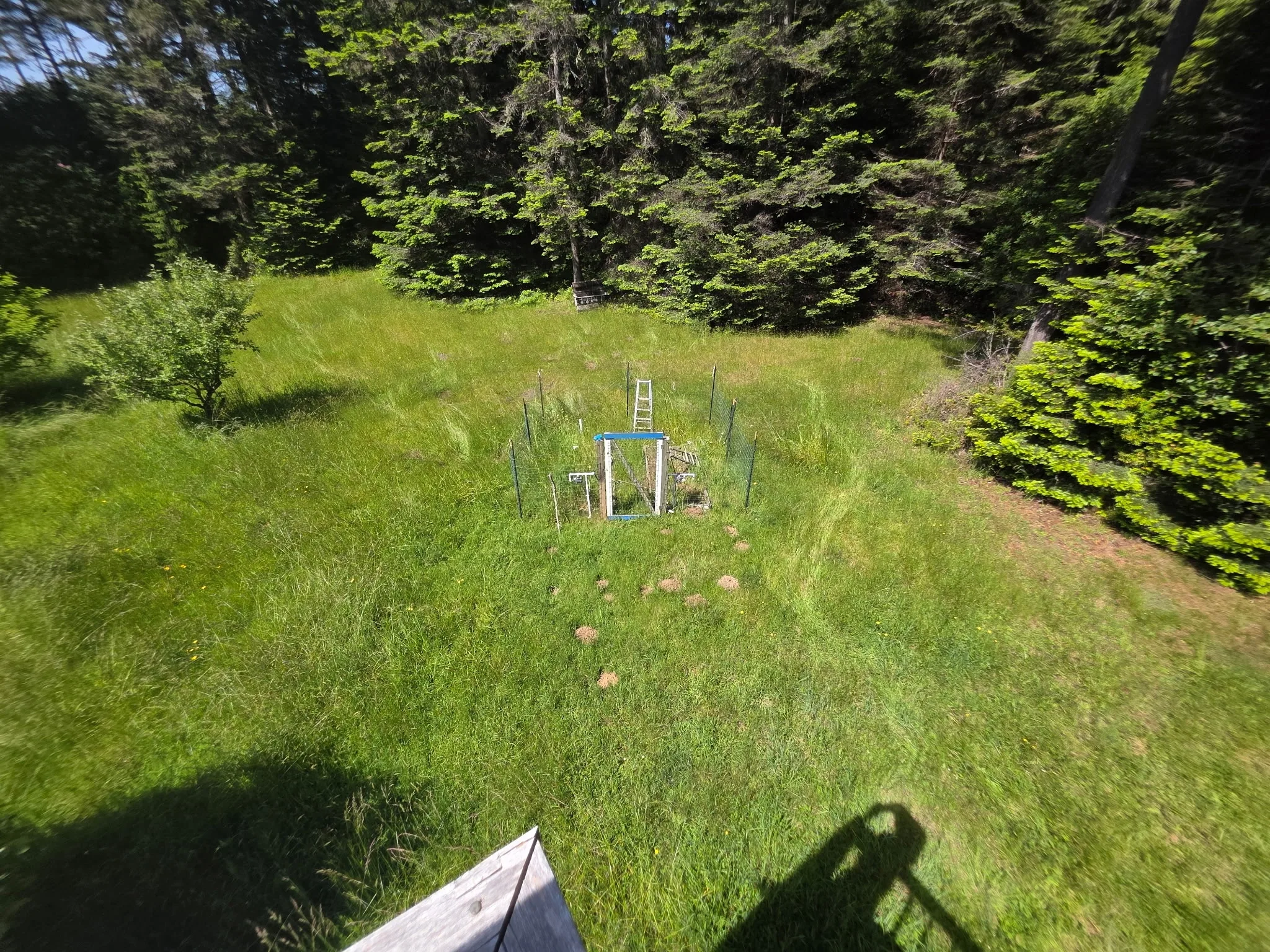 Overgrown meadow and garden enclosure seen from the deck before cleanup