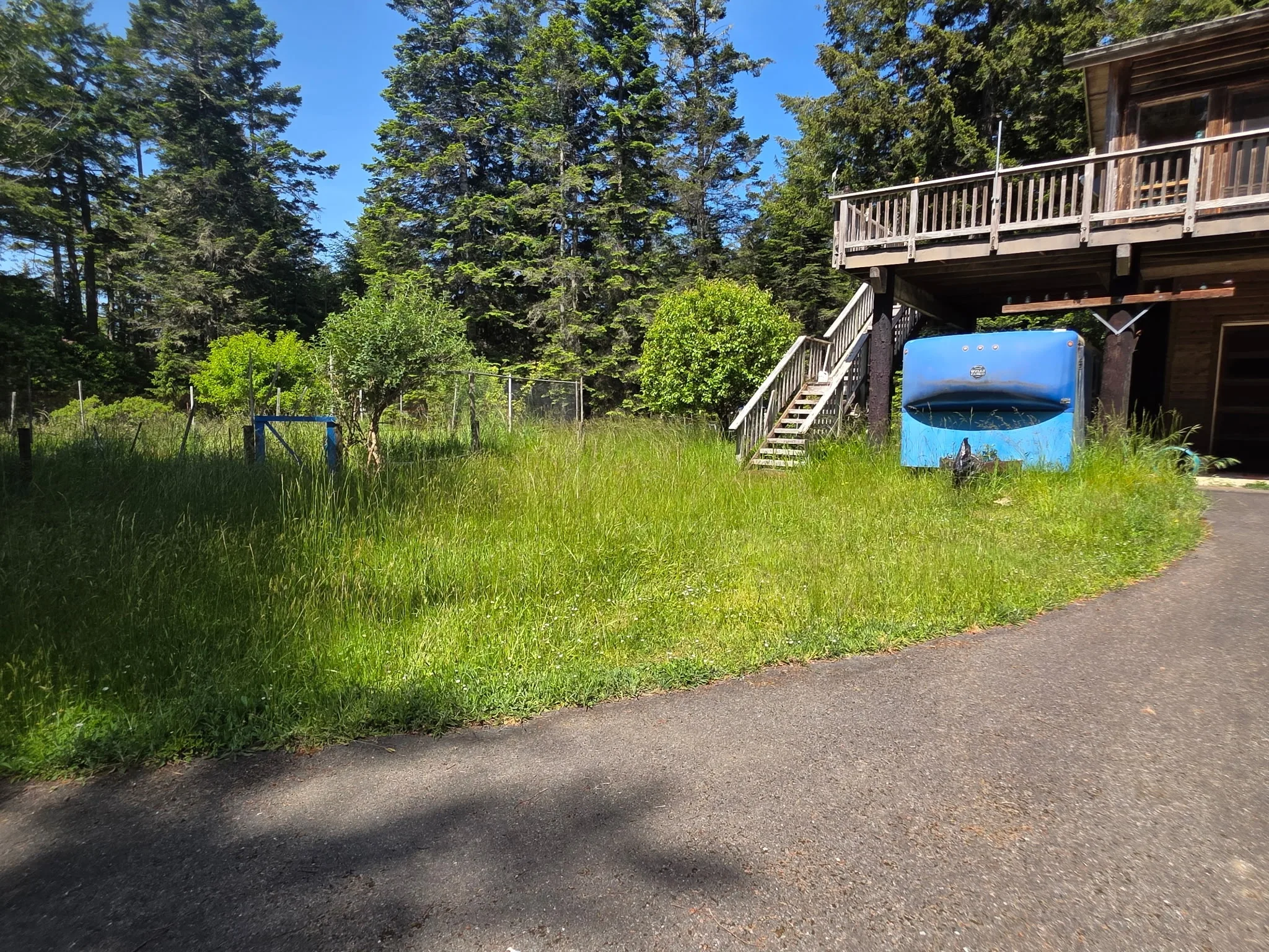 Overgrown side yard with deck stairs and a water tank before cleanup