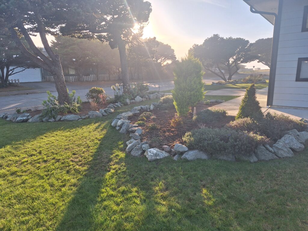 Sun reflection of the tress and grass