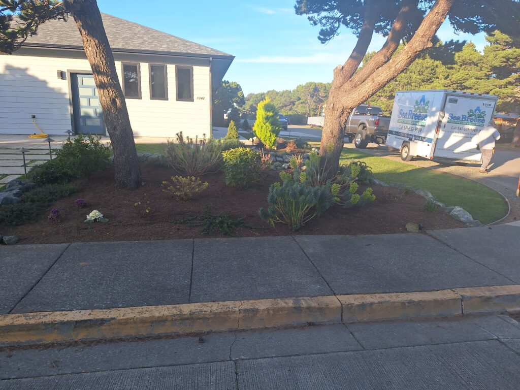 Landscaping garden beside road